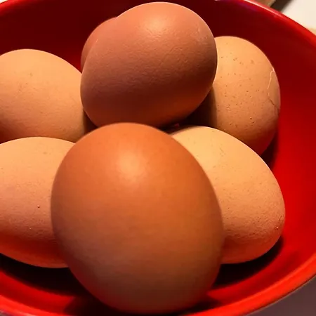 Du Montblanc 4 Pers Max Séjour chez l'habitant